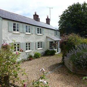 The Willows Bed and Breakfast Shillingstone Exterior photo