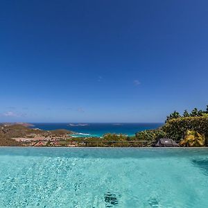 Modern Villa With Asian Influenced Decors St. Barthelemy Exterior photo