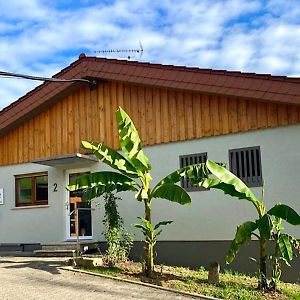 Pension Am Hohberghof Ξενοδοχείο Dielheim Exterior photo