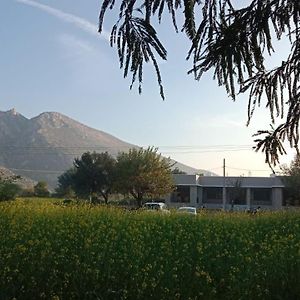 Sariska Nature Estate Ξενοδοχείο Thana Ghazi Exterior photo