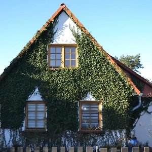 Ferienhaus "Butje" Διαμέρισμα Vitte Exterior photo