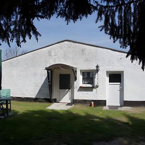 Zum Pferdestall Βίλα Dreetz Exterior photo