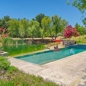 Fairytale Retreat At Uc Davis Pool Lake Kitchen Βίλα Exterior photo