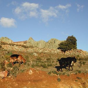 Madre Terra ξενώνας La Puebla de la Sierra Exterior photo