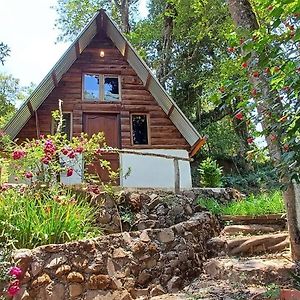 Cabanita Del Bosque De La Cumbre De San Bartolo Milpas Altas Βίλα Γουατεμάλα Exterior photo