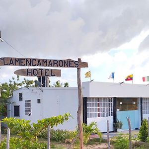 Hotel Flamencamarones Exterior photo