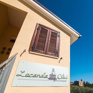 Locanda Olivi Affitta Camere Σενιγκάλια Exterior photo