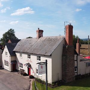 The Red Lion, Madley Ξενοδοχείο Χέρεφορντ Exterior photo