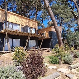 Bosque Las Delfinas Ξενοδοχείο Punta Colorada Exterior photo