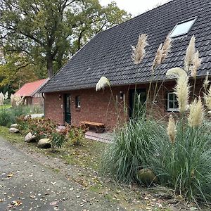 Kiefer -Ferienwohnung In Doetlingen Mit Waldblick Exterior photo