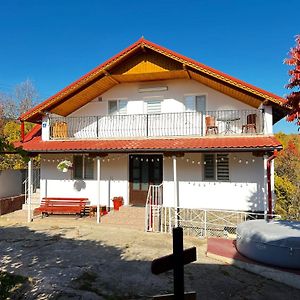 Casa Nib Calimanesti Ξενοδοχείο Exterior photo