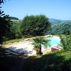 Cadre Paradisiaque Bed and Breakfast Saint-Pierre-la-Palud Exterior photo