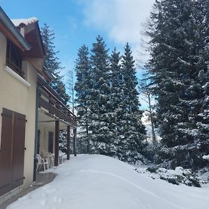 Maison De La Foret Magique. Βίλα Chalmazel-Jeansagniere Exterior photo