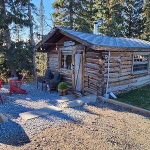 100 Year Old Log Cabin Μοτέλ Waiporous Village Exterior photo