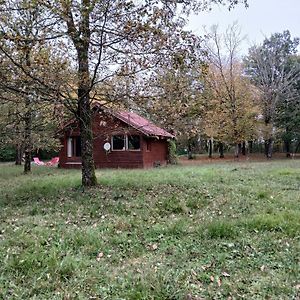 Chalet En Foret, Brame Du Cerf Βίλα Valpuiseaux Exterior photo