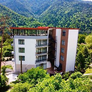 Emerald Ξενοδοχείο Borjomi Exterior photo