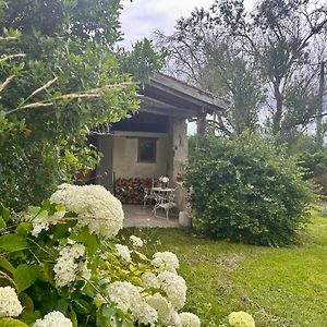 Pedauge Bed and Breakfast Moncrabeau Exterior photo