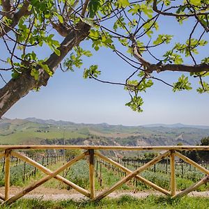 La Terrazza Sul Vigneto Bed and Breakfast Offida Exterior photo