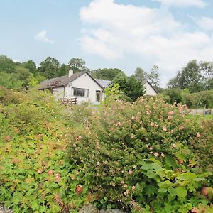 Beech House Βίλα Torcastle Exterior photo