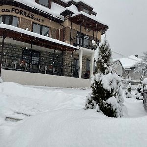 Casa Forras Ξενοδοχείο Borsec Exterior photo