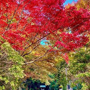 竹の隠れ家：自然豊かな遊歩道ある完全貸切一軒家、静寂と利便性が交わる場所、芦ノ湖まで車で10分- Διαμέρισμα Ashinoyu Exterior photo