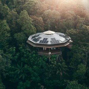 La Loma Jungle Lodge And Chocolate Farm Μπόκας ντελ Τόρο Exterior photo