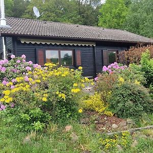 Blockhaus Am Waldrand Βίλα Erbach  Exterior photo