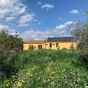 Arne Bed and Breakfast La Rotondella Exterior photo