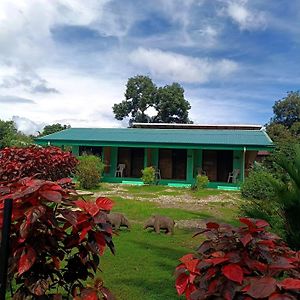 Macaw Ξενοδοχείο Puerto Jiménez Exterior photo