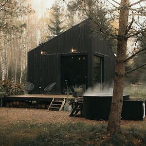 Briezu Stacija Off Grid Cabin Βίλα Līgatne Exterior photo