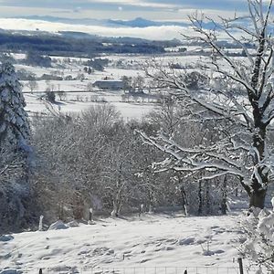 La Verriere Du Sancy Βίλα Picherande Exterior photo