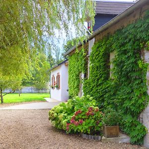 Ferme De Marpalu Bed and Breakfast La Ferté-Saint-Cyr Exterior photo