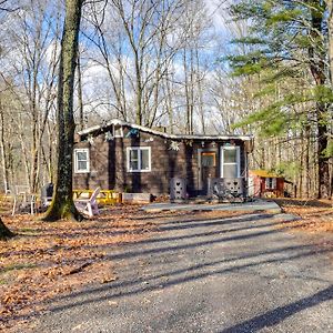 Mtn Views And On-Site Hiking Trails Catskills Cabin Βίλα Round Top Exterior photo