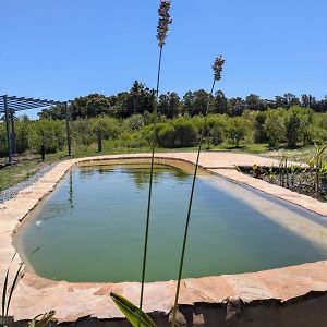 Caliu Earthship Ecolodge Κολονία ντε Σακραμεντο Exterior photo