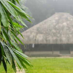 Bamboo Grove Bed and Breakfast Mananthavady Exterior photo