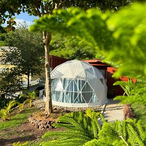 The Secret Garden - Glamping Grenada Ξενοδοχείο Morne Rouge Exterior photo