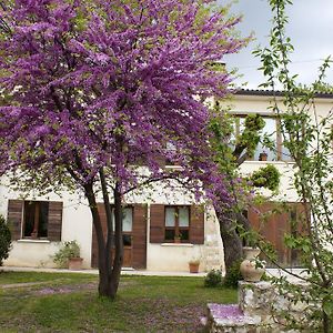 B&B Alte Paderno del Grappa Exterior photo