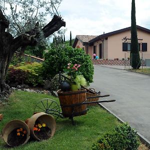 La Corte D'Emilio B&B Βινιόλα Exterior photo