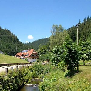 Gaestehaus Herrmann Ξενοδοχείο Bad Rippoldsau-Schapbach Exterior photo