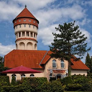 Am Wasserturm Pension Ξενοδοχείο Bad Muskau Exterior photo