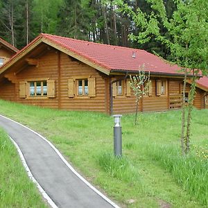 Blockhaus Bayerischer Wald Βίλα Stamsried Exterior photo