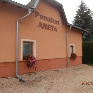 Penzion Aneta Ξενοδοχείο Svijany Exterior photo