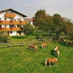 Biobauernhof Wolf-Hof Διαμέρισμα Pressbaum Exterior photo