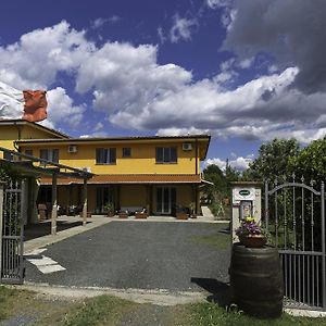 Albergo Luisss Γκροσέτο Exterior photo