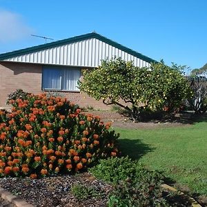 Lemontree Cottage Kingscote Exterior photo