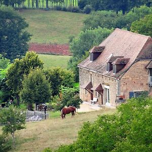 Le Domaine Du Cerneau Bed and Breakfast Nailhac Exterior photo