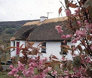 Connemara Country Cottages Γκάλγουεϊ Exterior photo