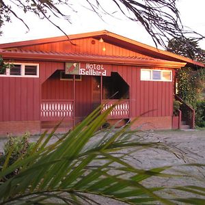 Hotel Bell Bird Monteverde Exterior photo