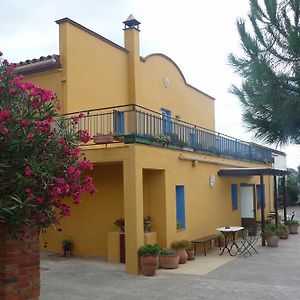 Can Selleretas Bed and Breakfast Vilamacolum Exterior photo