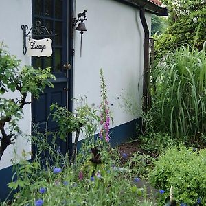 Lisayalichtwerk Bed and Breakfast Odoorn Exterior photo